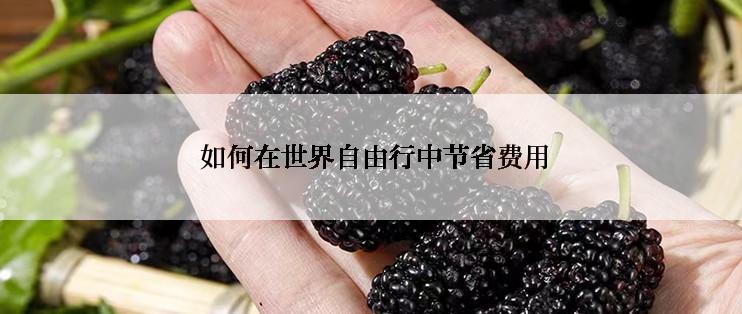  如何在世界自由行中节省费用