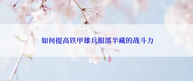  如何提高铁甲雄兵服部半藏的战斗力