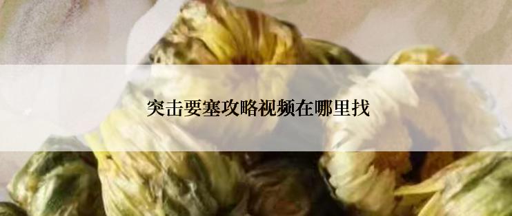  突击要塞攻略视频在哪里找