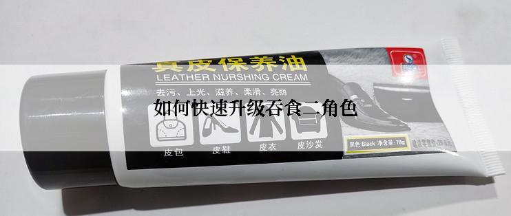 如何快速升级吞食二角色