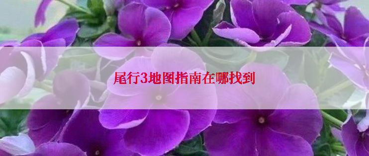 尾行3地图指南在哪找到