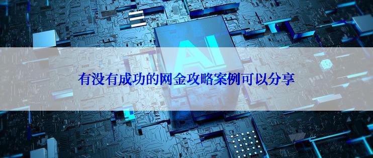 有没有成功的网金攻略案例可以分享