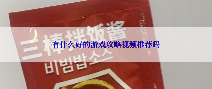 有什么好的游戏攻略视频推荐吗