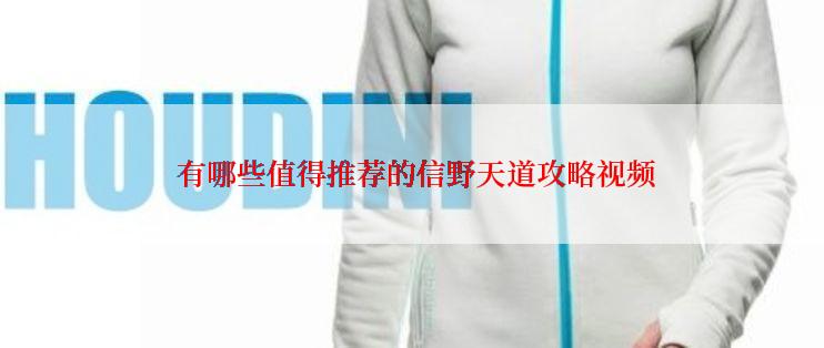  有哪些值得推荐的信野天道攻略视频