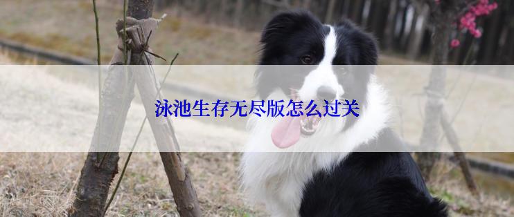 泳池生存无尽版怎么过关