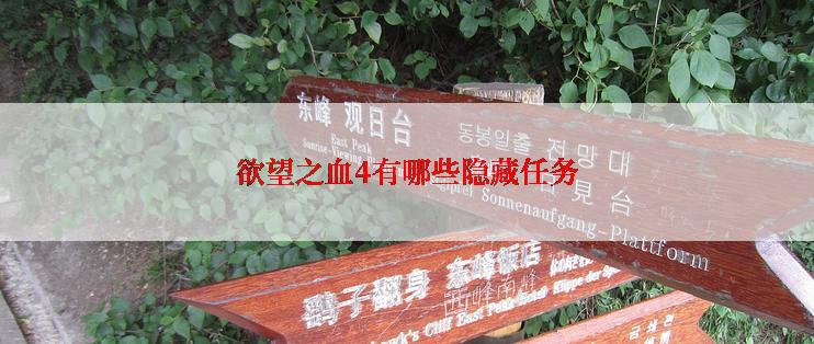 欲望之血4有哪些隐藏任务