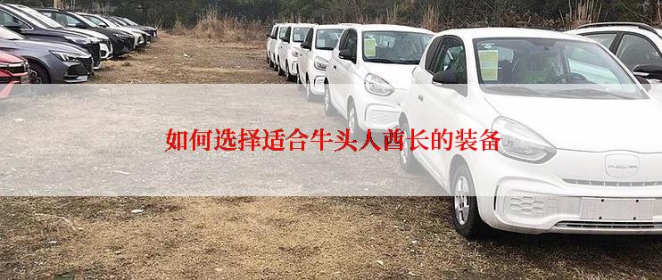  如何选择适合牛头人酋长的装备