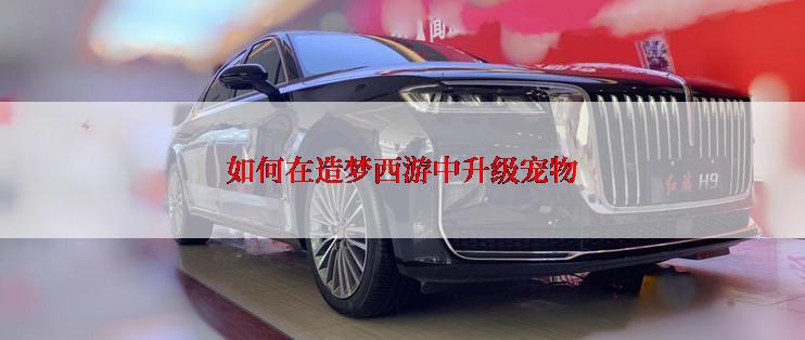 如何在造梦西游中升级宠物