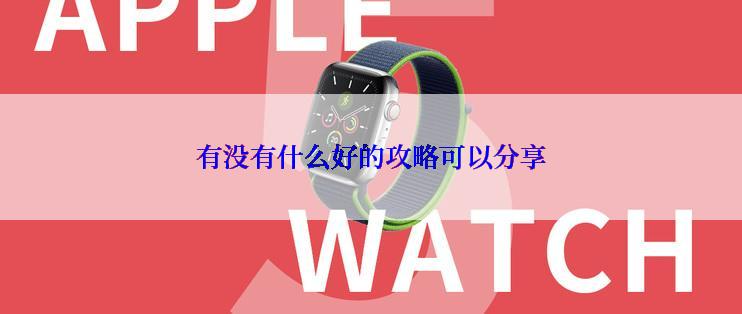 有没有什么好的攻略可以分享