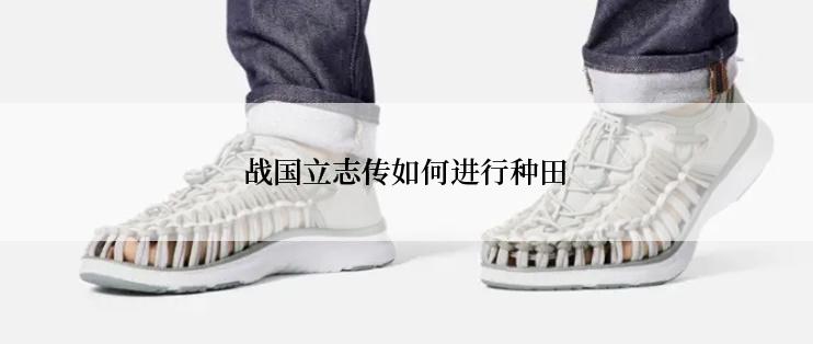 战国立志传如何进行种田