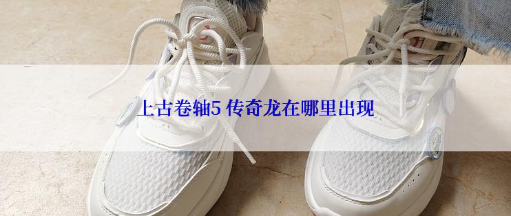 上古卷轴5 传奇龙在哪里出现