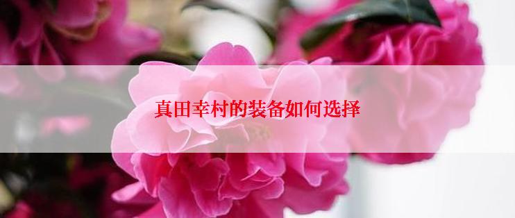 真田幸村的装备如何选择