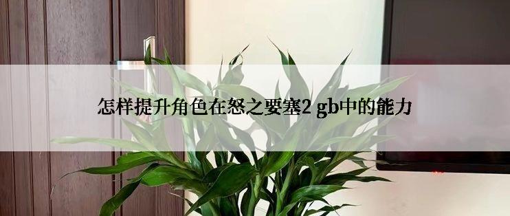 怎样提升角色在怒之要塞2 gb中的能力