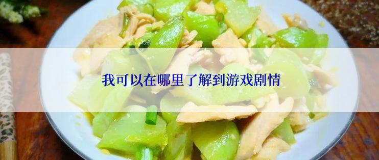  我可以在哪里了解到游戏剧情