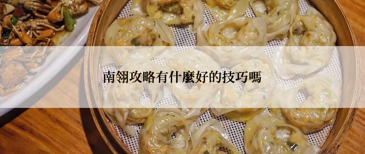 南翎攻略有什麼好的技巧嗎