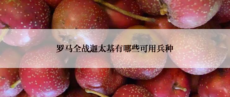 罗马全战迦太基有哪些可用兵种