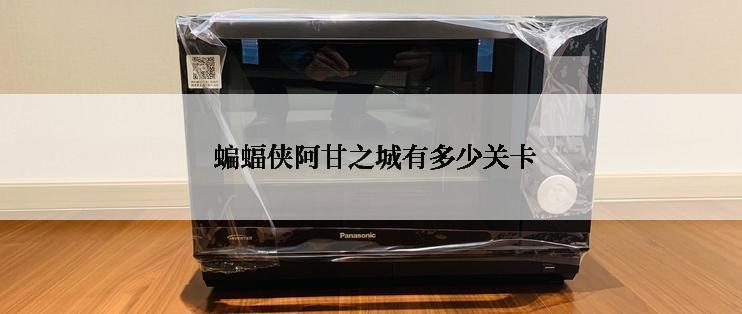  蝙蝠侠阿甘之城有多少关卡