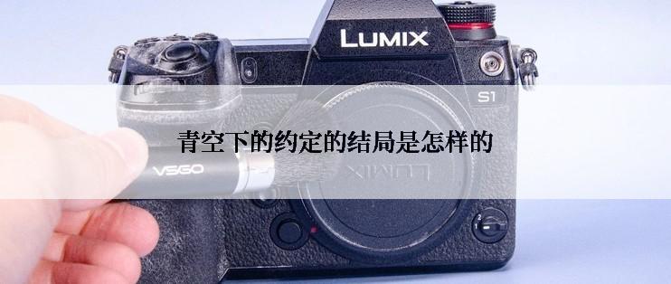 青空下的约定的结局是怎样的