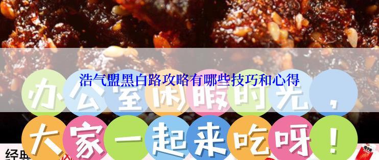 浩气盟黑白路攻略有哪些技巧和心得