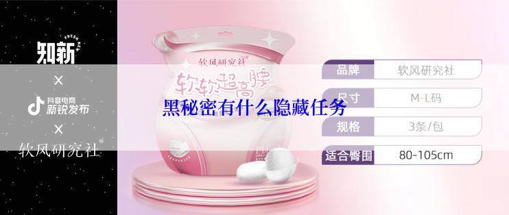 黑秘密有什么隐藏任务