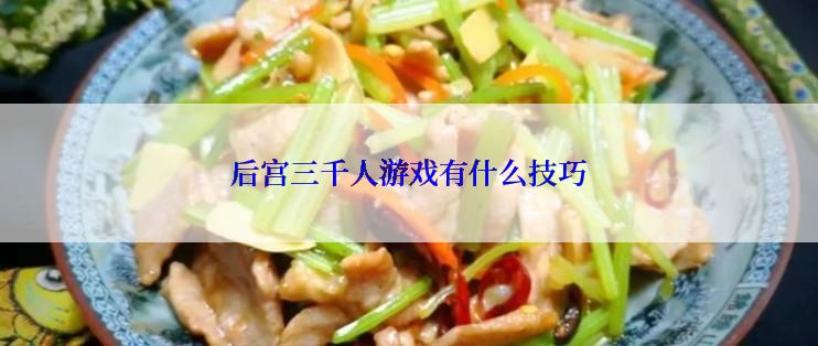 后宫三千人游戏有什么技巧