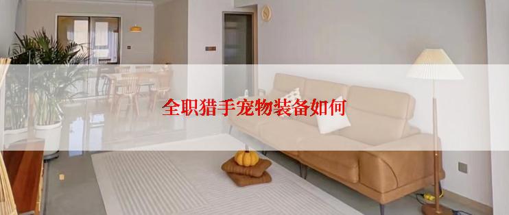 全职猎手宠物装备如何