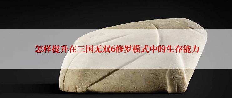 怎样提升在三国无双6修罗模式中的生存能力