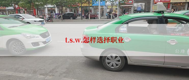 t.s.w.怎样选择职业