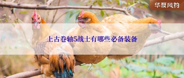 上古卷轴5战士有哪些必备装备