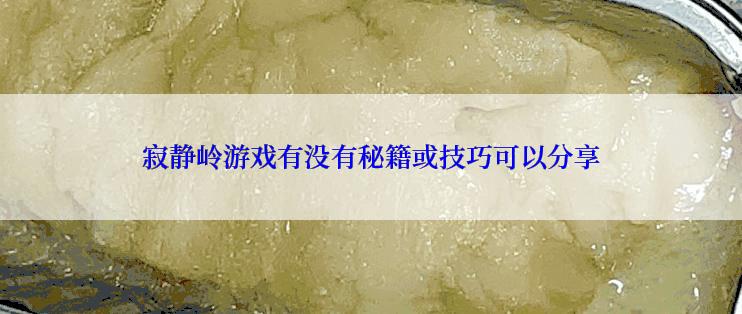 寂静岭游戏有没有秘籍或技巧可以分享