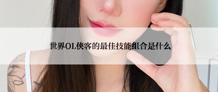  世界OL侠客的最佳技能组合是什么