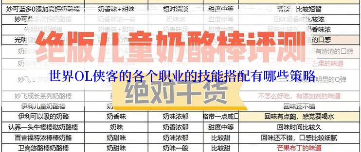 世界OL侠客的各个职业的技能搭配有哪些策略