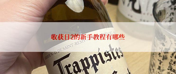 收获日2的新手教程有哪些