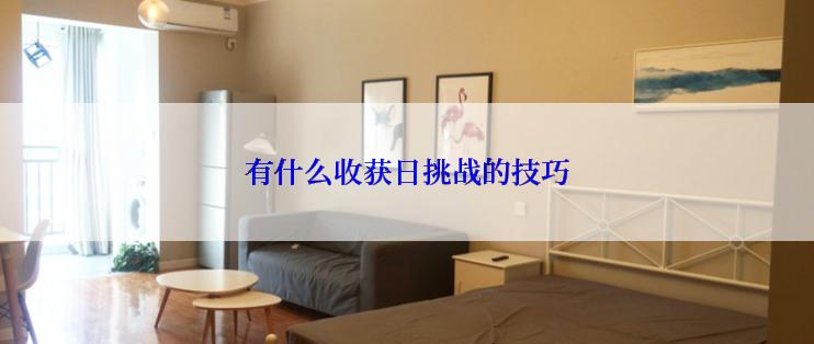 有什么收获日挑战的技巧