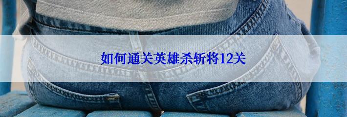 如何通关英雄杀斩将12关