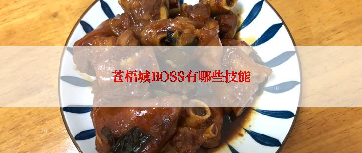 苍梧城BOSS有哪些技能
