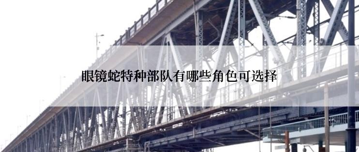眼镜蛇特种部队有哪些角色可选择