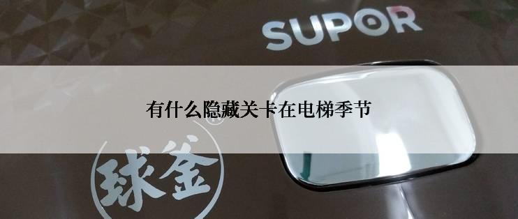 有什么隐藏关卡在电梯季节