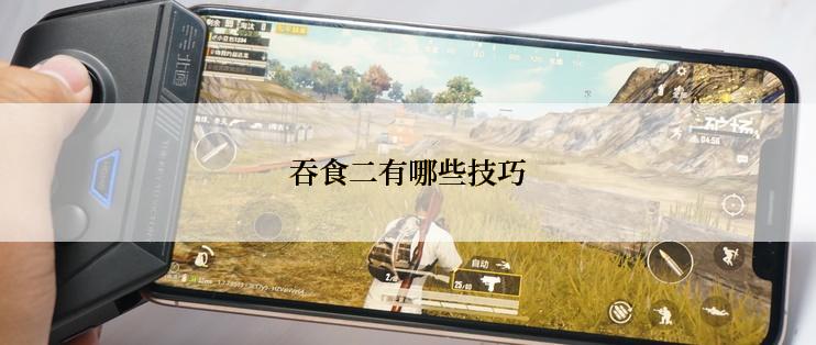 吞食二有哪些技巧