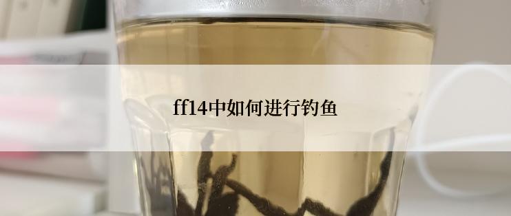 ff14中如何进行钓鱼