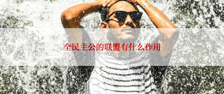 全民主公的联盟有什么作用