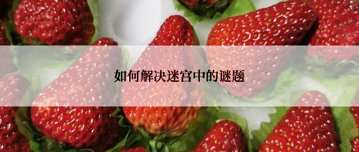 如何解决迷宫中的谜题