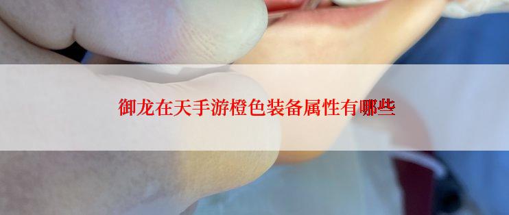  御龙在天手游橙色装备属性有哪些