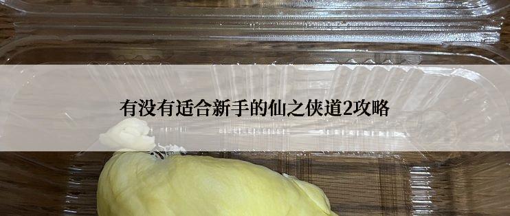 有没有适合新手的仙之侠道2攻略