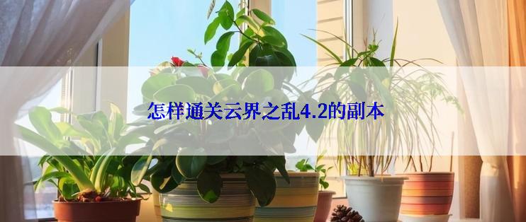  怎样通关云界之乱4.2的副本