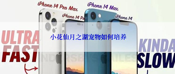  小花仙月之湖宠物如何培养