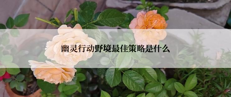 幽灵行动野境最佳策略是什么