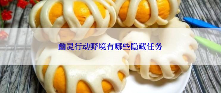 幽灵行动野境有哪些隐藏任务