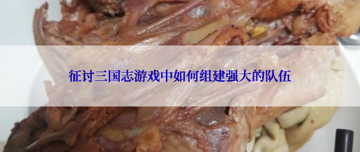 征讨三国志游戏中如何组建强大的队伍