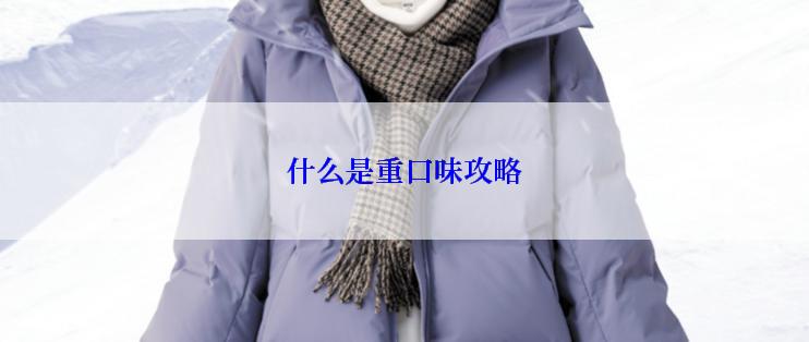 什么是重口味攻略